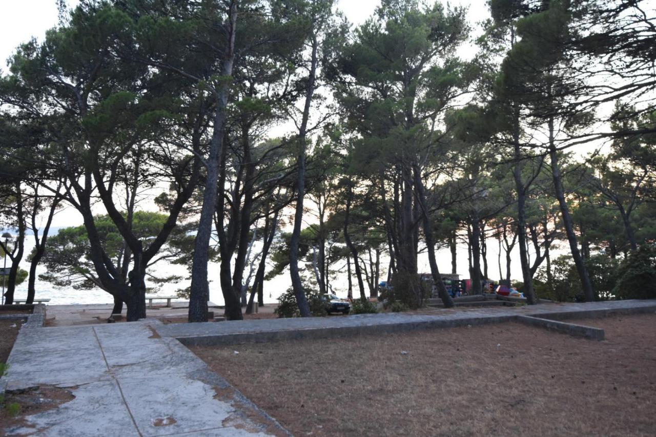 Mobile Homes Sara - Camping Basko Polje , Adriatic , Dalmatia Baška Voda Exterior foto