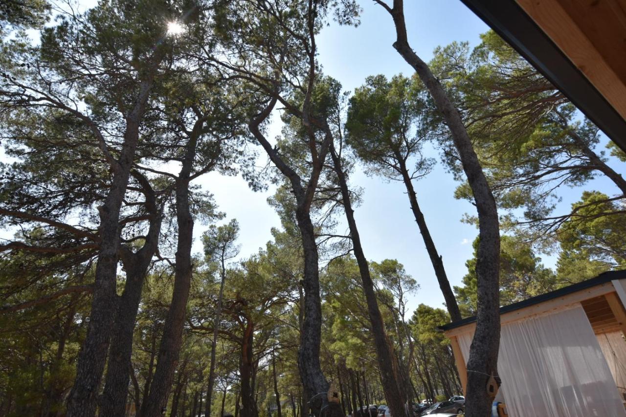 Mobile Homes Sara - Camping Basko Polje , Adriatic , Dalmatia Baška Voda Exterior foto